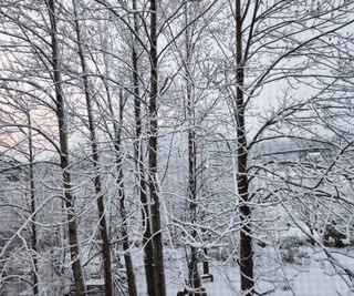 홍순강화모리님의 여행을 간다면 어디로 가고 싶으세요? · 참여글 작성글 사진