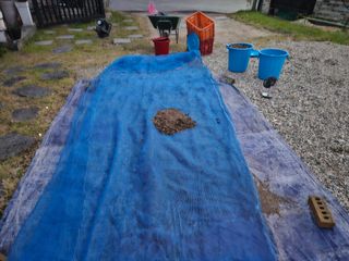 뿡뿡농장님의 자유주제 · 자유게시판 작성글 사진