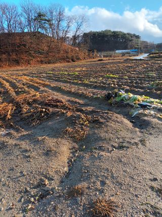 이상근 님의 자유주제 · 자유게시판 작성글 사진