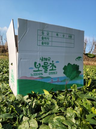 고기만님의 작성글 사진