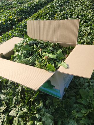 고기만님의 작성글 사진