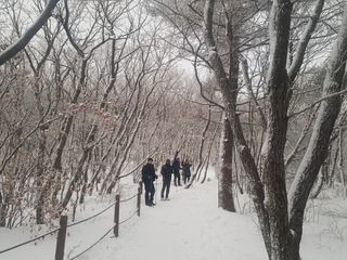 정주님의 여행을 간다면 어디로 가고 싶으세요? · 참여글 작성글 사진