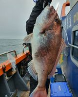 팜모닝 여행을 간다면 어디로 가고 싶으세요?·참여글 게시글 이미지