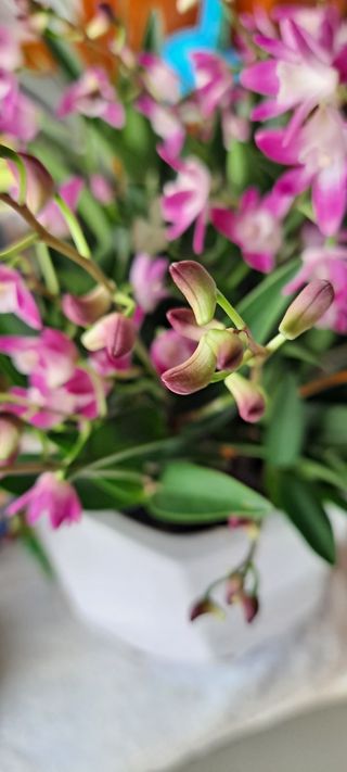 전병석님의 자유주제 · 자유게시판 작성글 사진