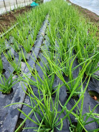 갑돌이님의 자유주제 · 자유게시판 작성글 사진
