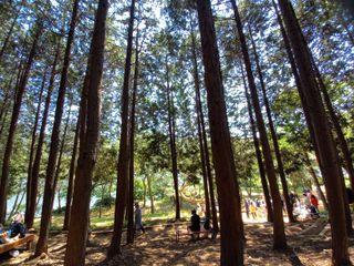 김두리님의 여행을 간다면 어디로 가고 싶으세요? · 참여글 작성글 사진