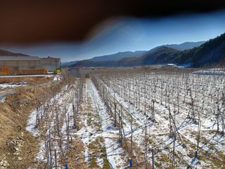 알 수 없음님의 자유주제 · 자유게시판 작성글 사진