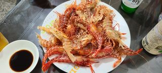 풀잎사랑님의 여행을 간다면 어디로 가고 싶으세요? · 참여글 작성글 사진