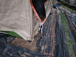 뿡뿡농장님의 자유주제 · 자유게시판 작성글 사진