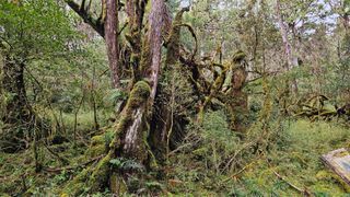 건호님의 여행을 간다면 어디로 가고 싶으세요? · 참여글 작성글 사진