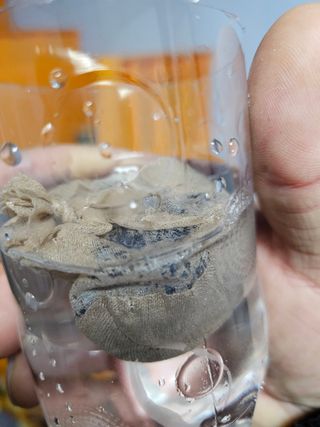 대산농사대장님의 고추 · 품종•종자 작성글 사진