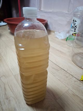 왕개미님의 자유주제 · 자유게시판 작성글 사진