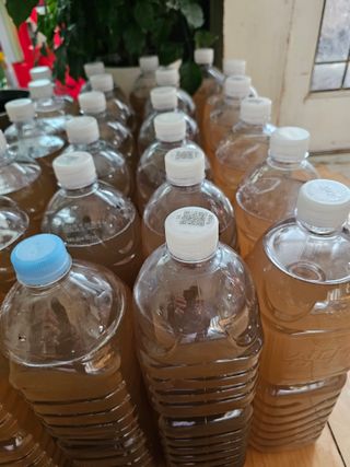 왕개미님의 자유주제 · 자유게시판 작성글 사진