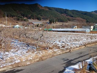 알 수 없음님의 자유주제 · 자유게시판 작성글 사진
