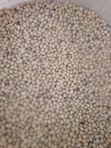 팜모닝 · 게시글 이미지