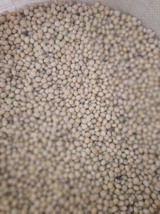 김철현님의 작성글 사진