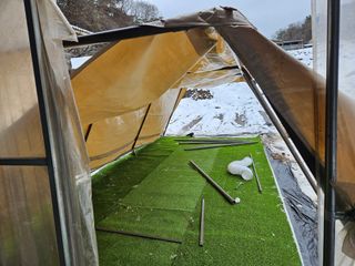 뿡뿡농장님의 자유주제 · 자유게시판 작성글 사진