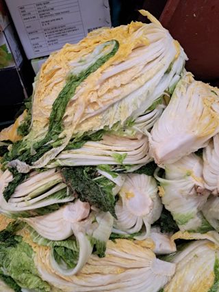 김기한님의 자유주제 · 자유게시판 작성글 사진