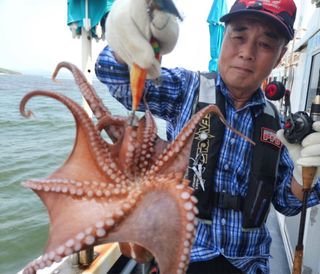 한밭골님의 여행을 간다면 어디로 가고 싶으세요? · 참여글 작성글 사진