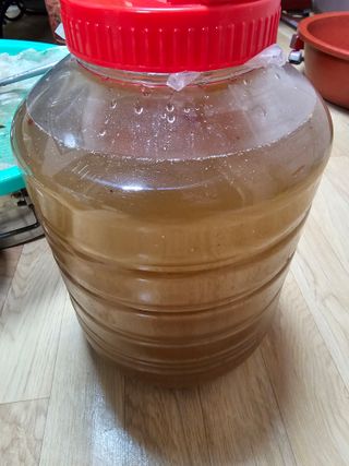 왕개미님의 자유주제 · 자유게시판 작성글 사진