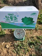 팜모닝 · 게시글 이미지
