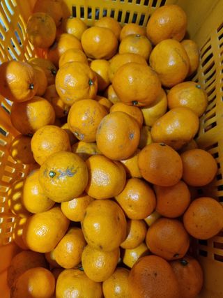 고석범님의 작성글 사진