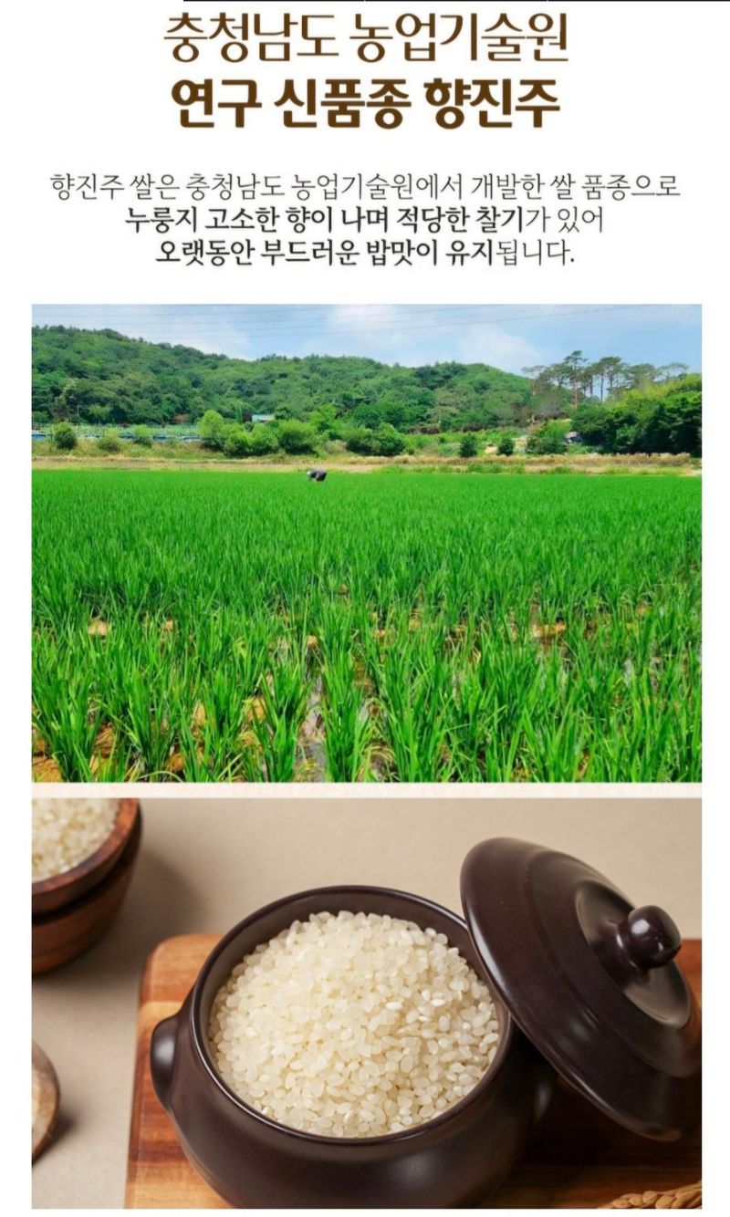 농수사님의 장터 판매 상품 [25년 햅쌀 누룽지 향미 쌀 향진주 10kg] 첨부 사진