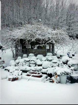 정주님의 여행을 간다면 어디로 가고 싶으세요? · 참여글 작성글 사진
