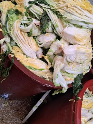 김기한님의 자유주제 · 자유게시판 작성글 사진