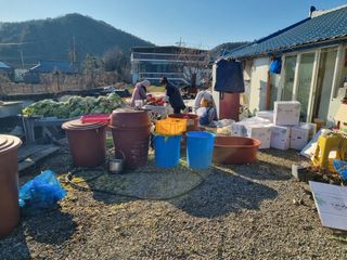 진여화 농원님의 자유주제 · 자유게시판 작성글 사진