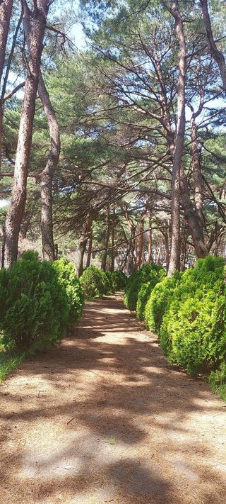 툇골짜기님의 여행을 간다면 어디로 가고 싶으세요? · 참여글 작성글 사진