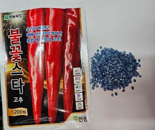 대산농사대장님의 고추 · 품종•종자 작성글 사진