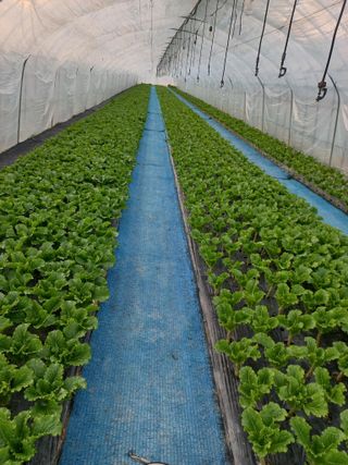 농민님의 자유주제 · 자유게시판 작성글 사진