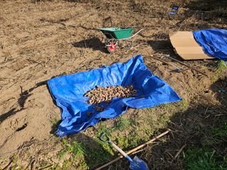 뿡뿡농장님의 자유주제 · 자유게시판 작성글 사진