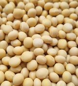 팜모닝 자유주제·자유게시판 게시글 이미지