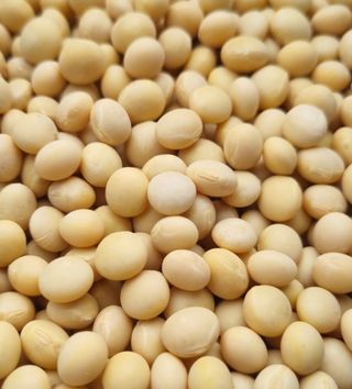 김제시만경님의 자유주제 · 자유게시판 작성글 사진