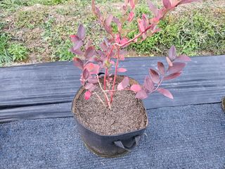 뿡뿡농장님의 자유주제 · 자유게시판 작성글 사진