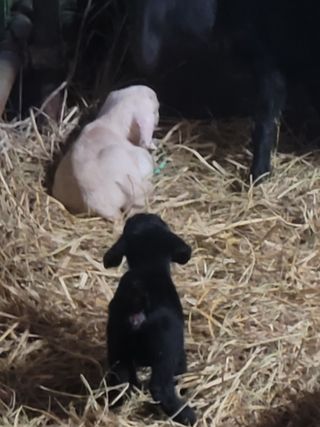 고기만님의 자유주제 · 자유게시판 작성글 사진