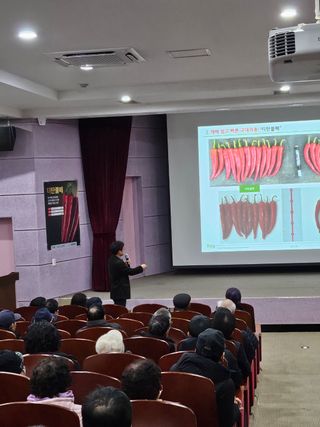 대산농사대장님의 고추 · 품종•종자 작성글 사진