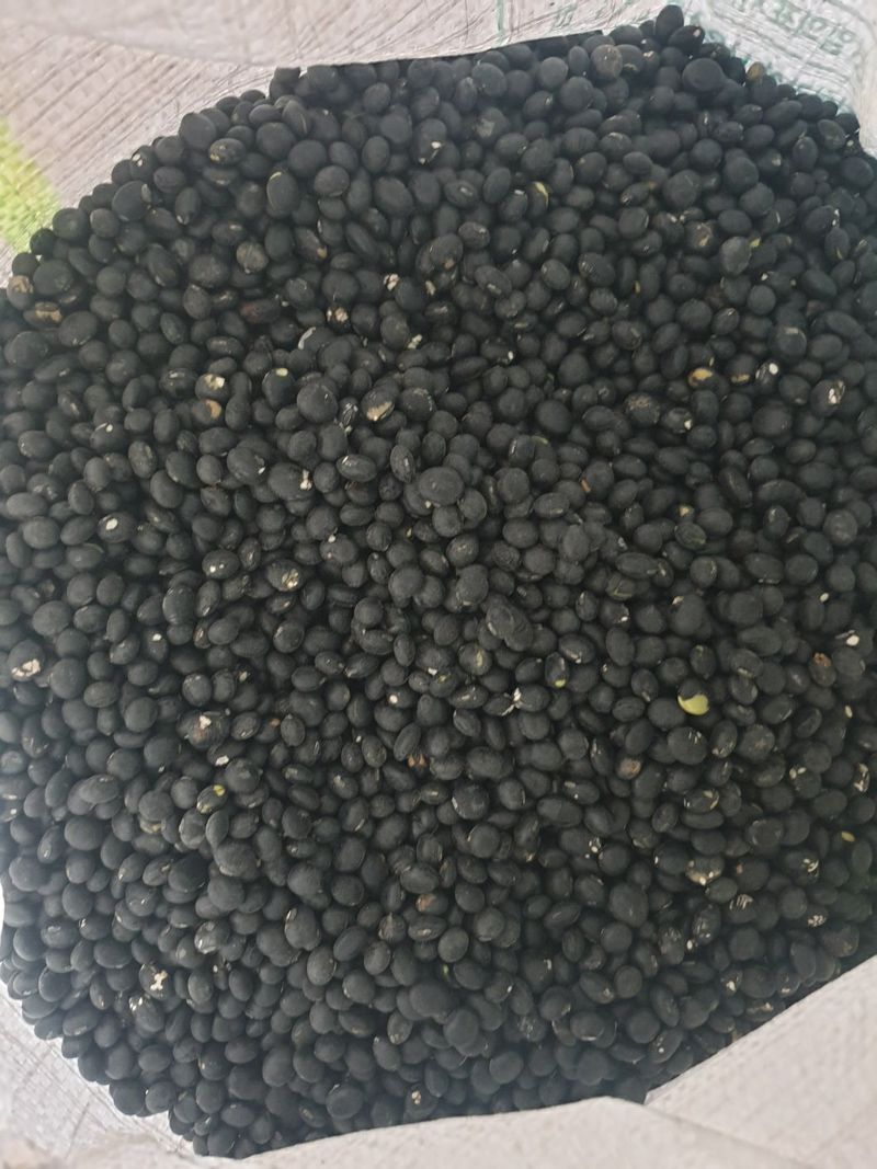 장터 상품 [서리태4키로] 썸네일