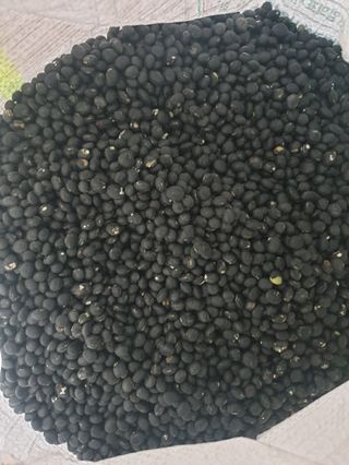 옥수수6509님의 작성글 사진