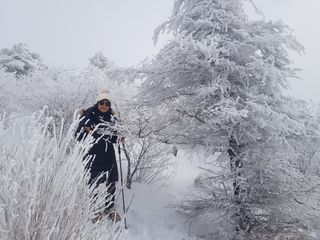 정주님의 여행을 간다면 어디로 가고 싶으세요? · 참여글 작성글 사진