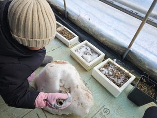 뿡뿡농장님의 자유주제 · 자유게시판 작성글 사진