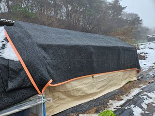 뿡뿡농장님의 자유주제 · 자유게시판 작성글 사진