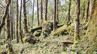 건호님의 여행을 간다면 어디로 가고 싶으세요? · 참여글 작성글 사진