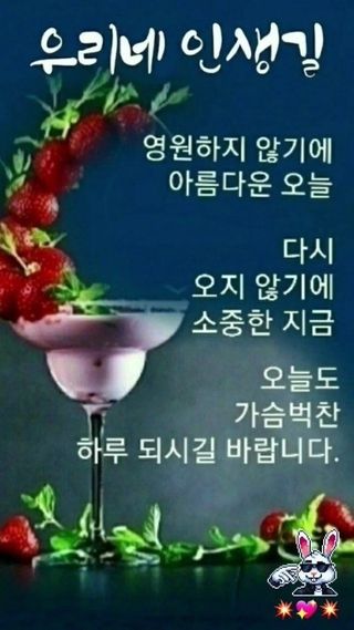 knlee님의 자유주제 · 자유게시판 작성글 사진