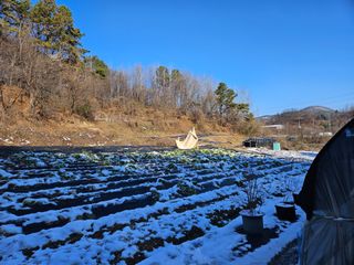 뿡뿡농장님의 자유주제 · 자유게시판 작성글 사진