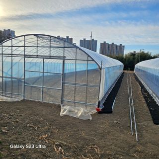 박용열조물주님 님의 자유주제 · 자유게시판 작성글 사진