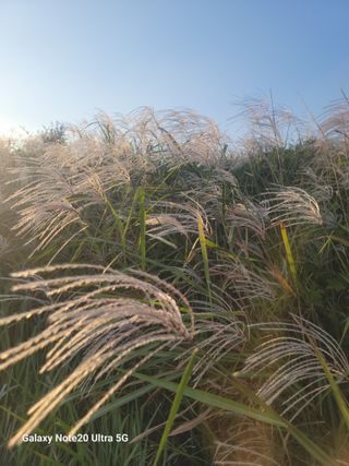 김주배님의 연말인사 같이해요💕 · 참여글 작성글 사진
