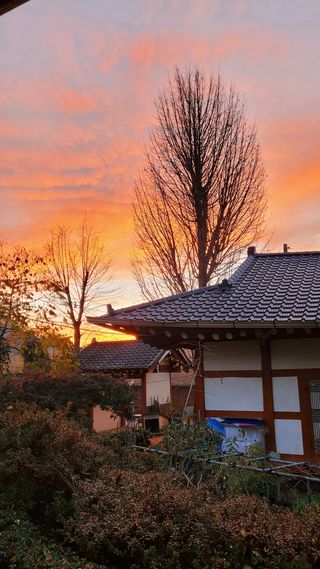 권혜전님의 연말인사 같이해요💕 · 참여글 작성글 사진